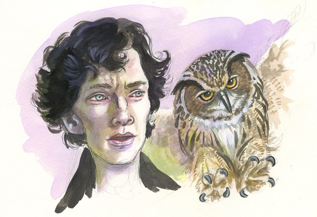 Benedict and the Eagle Owl Sketch by Christina Wald
